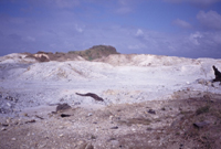 Iwogaoka