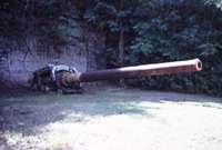 Horizontal Canon