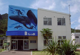 picture of B-Ship (Shoko Kanko Hall/ Commerce and Tourism Hall)