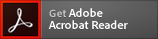 Adobe Reader opens in a new window