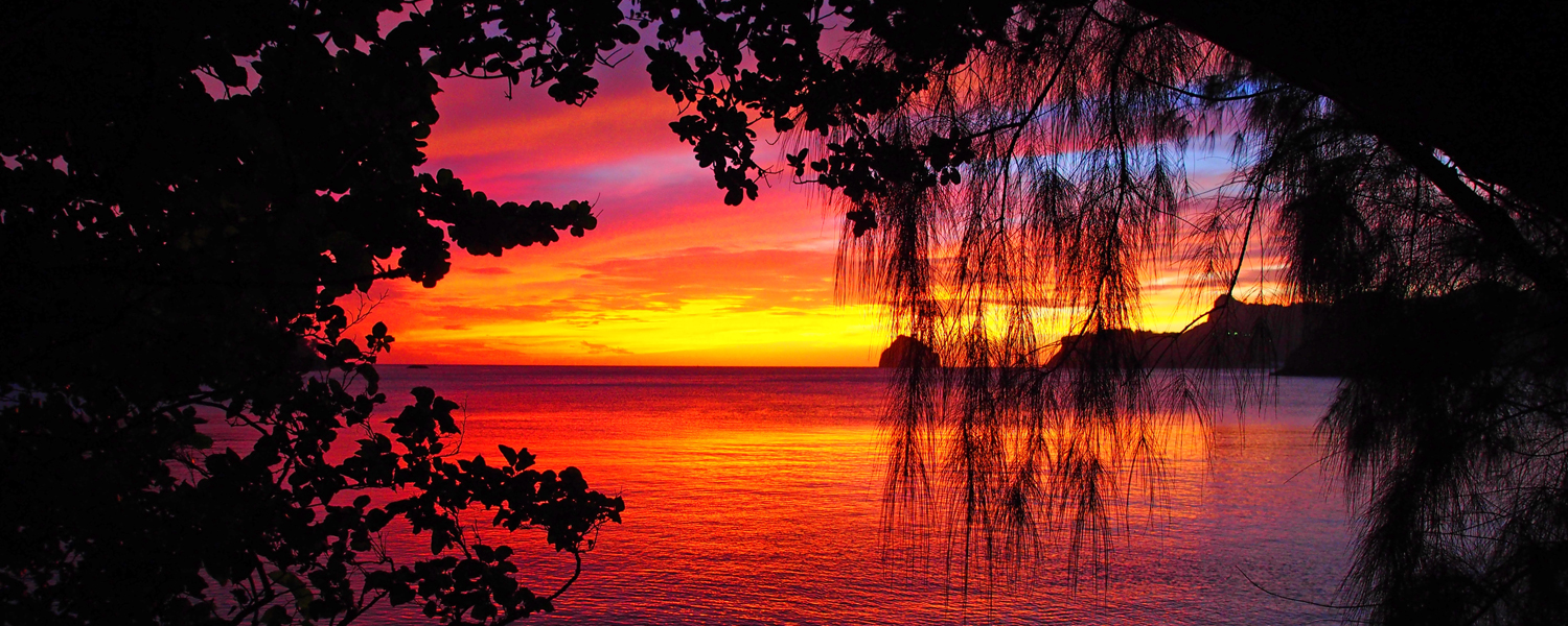 picture of World Natural Heritage Ogasawara Islands Sunset